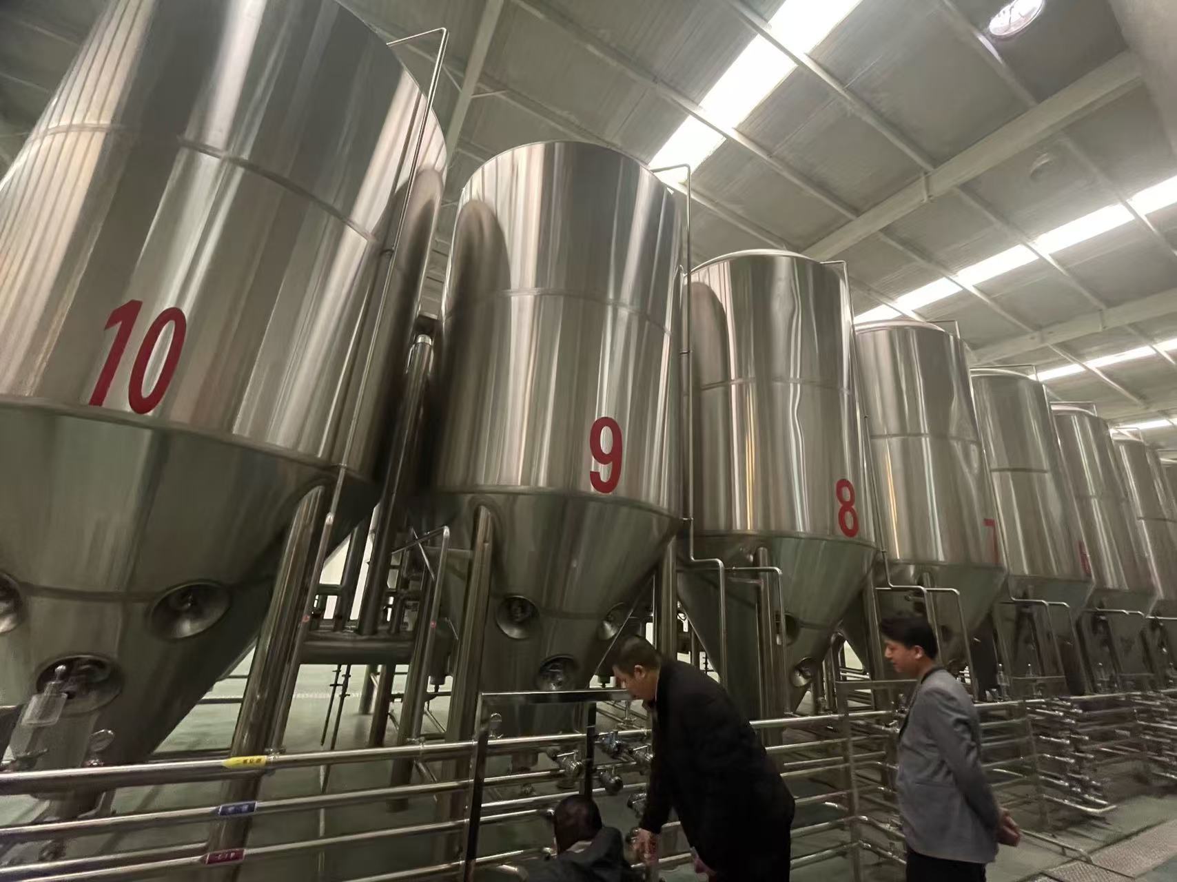 郁南精酿啤酒设备厂—平面布置、设备设计、制造、调试、培训等一条龙服务